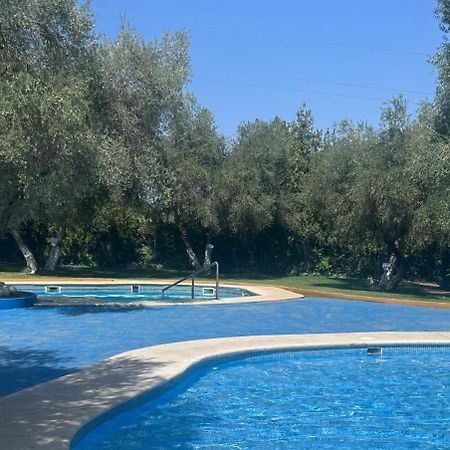 Apartamento A 8Km Sevilla Centro 瓦伦西纳德拉孔塞普西翁 外观 照片
