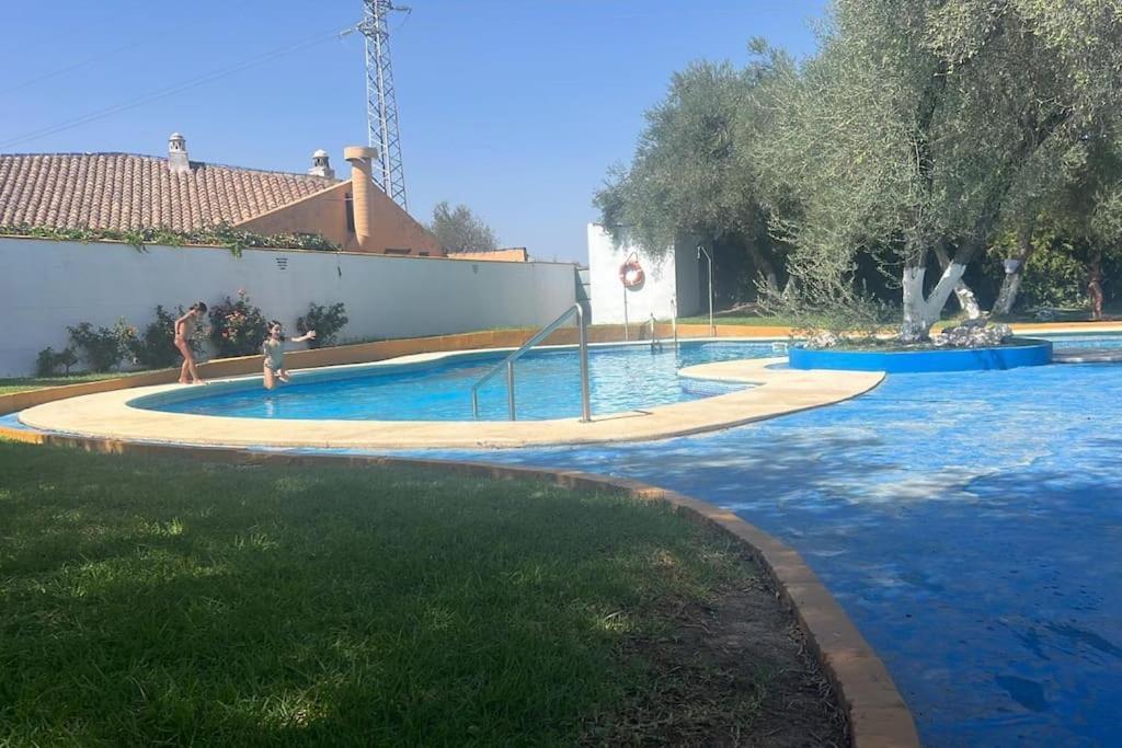 Apartamento A 8Km Sevilla Centro 瓦伦西纳德拉孔塞普西翁 外观 照片