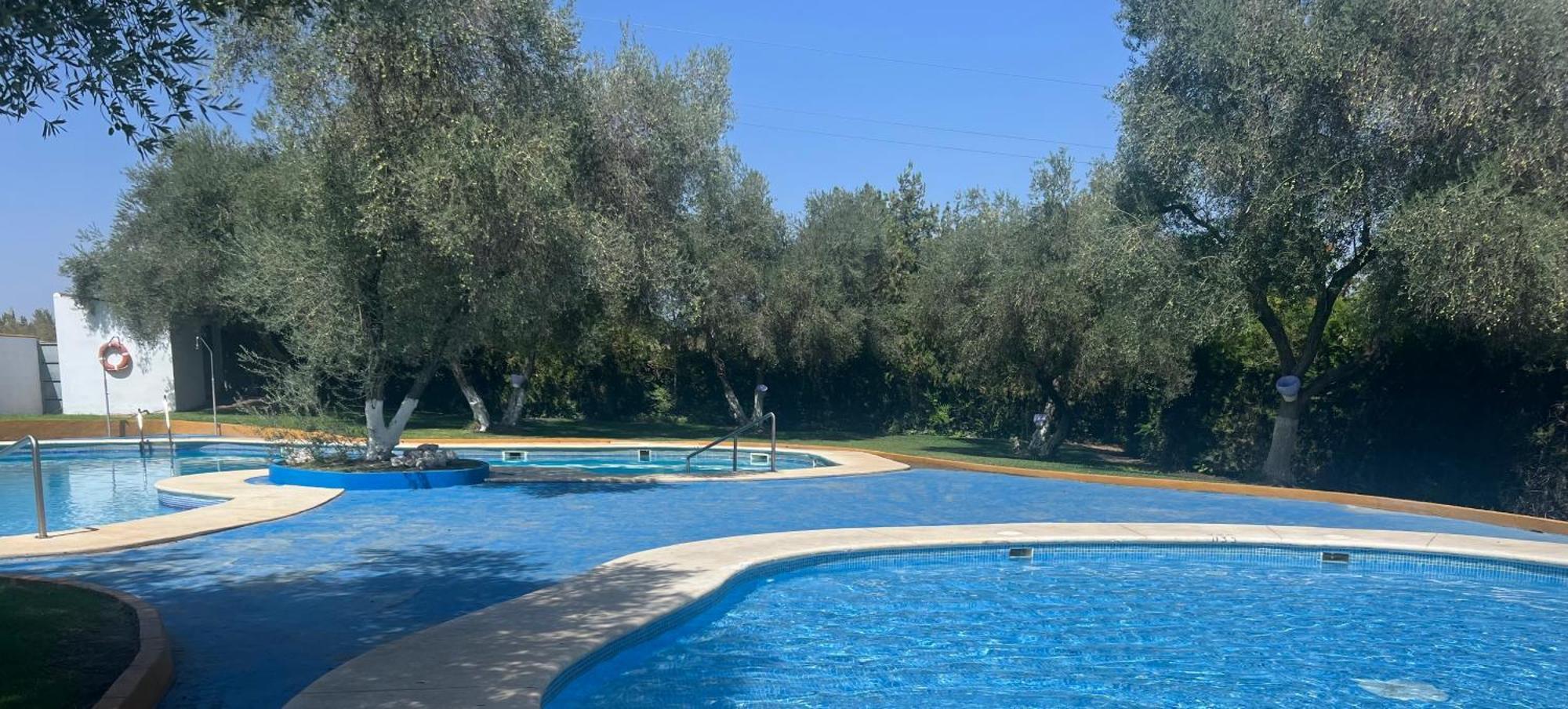Apartamento A 8Km Sevilla Centro 瓦伦西纳德拉孔塞普西翁 外观 照片